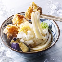 鬼おろし鶏からぶっかけうどん