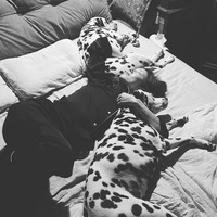 高岡早紀、パジャマ姿で愛犬たちの間で眠る至福ショット 画像