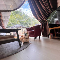 滋賀のグランピング「フューチャーリゾート」が愛犬宿泊OKの部屋をオープン 画像