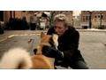 松竹、「HACHI 約束の犬」予告編映像をYouTubeに公開！ 画像