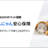 Amazon、ペット保険「わんにゃん安心保険」発売