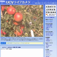 地域WiMAXを活用したライブカメラで、リンゴをPR（9月24日現在の映像）
