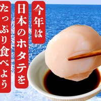 日本産ホタテ
