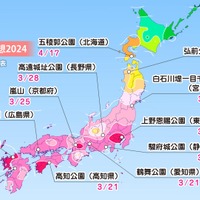 桜開花トップは東京の3月18日！平年より早まる見込み 画像