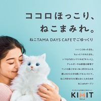ねこTAMA DAYS CAFE