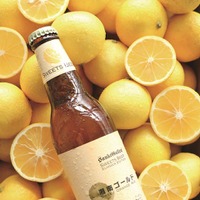 サンクトガーレン、オレンジ風味の爽やかフルーツビール「湘南ゴールド」春夏限定販売 画像