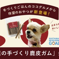 愛犬の口腔ケアに！本州鹿を使った犬用デンタルガムが予約販売開始 画像