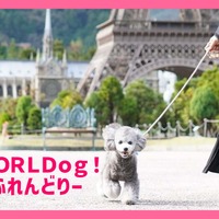 栃木・東武ワールドスクウェア、愛犬とリード入園できる「WORLDog！ふれんどりー」スタート 画像