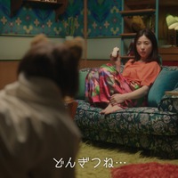 吉高由里子＆板垣李光人、「日清のどん兵衛」テレビCM新シリーズに登場！