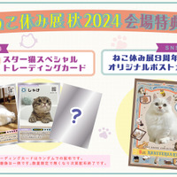 ねこ休み展 秋 2024