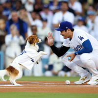 大谷翔平の愛犬・デコピンが始球式に！ 最後はキュートなハイタッチ 画像