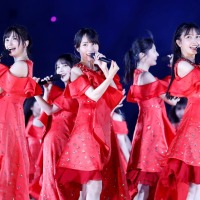 「真夏の全国ツアー2024」ライブ写真　鈴木健太（KENTA Inc.）