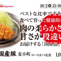 松のや“国産豚シリーズ”第2弾！日本ハムとのコラボ「麦小町ロースかつ」発売 画像