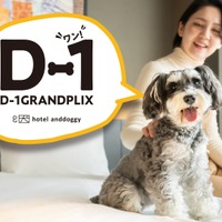 愛犬の写真でホテルスイート当たる！？hotel anddoggy京都二条が「D-1グランプリ」開催 画像