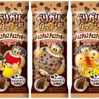 ガリガリ君リッチチョコチョコチョコクッキー