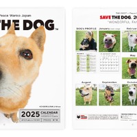 保護犬たちの笑顔が集まる「SAVE THE DOG 2025カレンダー」受注販売開始 画像