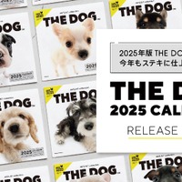 SAVE THE DOG 2025カレンダー