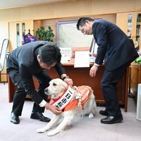 市長からタスキをかけてもらったマギーちゃん（写真は亀岡市役所の公式Facebookから）※亀岡市役所に掲載許諾をもらってます