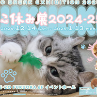 ねこ休み展 2024-25 in 福岡