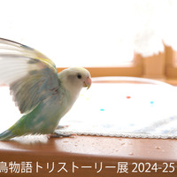 鳥物語トリストーリー展 2024-25