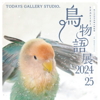 鳥物語トリストーリー展 2024-25