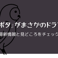 ハリー・ポッターのドラマが始まる前に！映画で世界観を予習しておこう