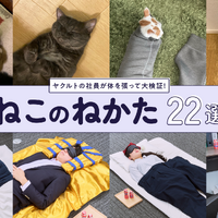 「『ねこのねかた』22選」