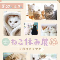 ねこ休み展