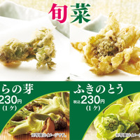 天丼てんや、1日より春の山菜「たらの芽」「ふきのとう」販売 画像