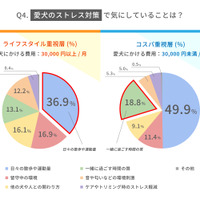 愛犬のストレス対策で気にしていること