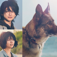 映画『少年と犬』　（C）2025映画「少年と犬」製作委員会