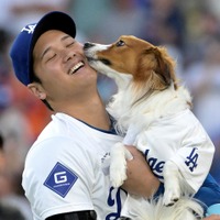 大谷翔平の愛犬デコピン祝福ショットに韓国も胸キュン！「格別な愛情」「心揺さぶられる…」