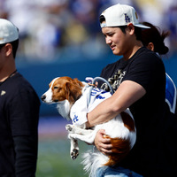 大谷翔平選手と愛犬・デコピン（Photo by Ronald Martinez/Getty Images）
