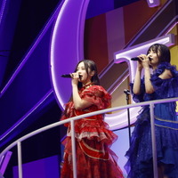 「乃木坂46 13th YEAR BIRTHDAY LIVE」撮影：鈴木健太(KENTA Inc.)