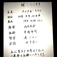 テレビ東京で放送されたモキュメンタリー番組『イシナガキクエを探しています』