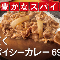 「肉だく牛スパイスカレー」