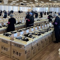 海苔入札会風景