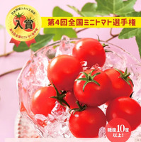 ＢｉｍｉＳｍｉｌｅスイートルビークイーン