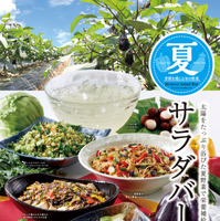 ブロンコビリー『夏サラダバー』