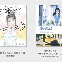 ビジュアルコレクション　（C） 1993 Saeko Himuro/Keiko Niwa/Studio Ghibli, N