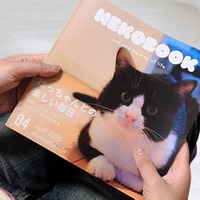 「うちのこ写真集」表紙イメージ