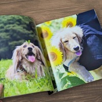 「うちのこ写真集」見開きイメージ
