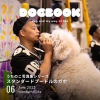 「うちのこ写真集」シリーズ第5弾『スタンダードプードルのガホ』（令和出版）