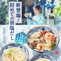 新作『冷たーい旨塩うどん』3種