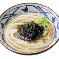 冷たーい海苔旨塩うどん　（並）590円