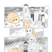 『にゃんかつ 11匹と2人の暮らし』（C）KADOKAWA