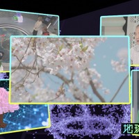 『地球解析～宇宙から探せ！究極の花見スポット～』（C）NHK