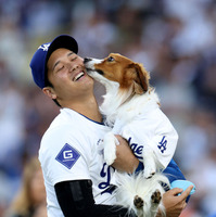 大谷翔平の愛犬・デコピンが絵本に！2026年2月販売 画像