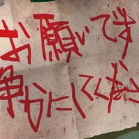 「『仄暗い水の底から』の再来」との評価も　韓国ホラー『層間騒音』が10/10に日本公開