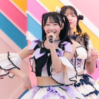 柏綾菜